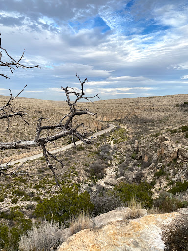 Tourist Information Center «Carlsbad Caverns National Park Headquarters», reviews and photos