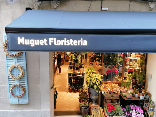 ToldosLed – (Arenys de Mar)