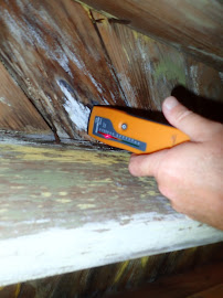 360PestControl - Photo 9 - Car repair in St. Petersburg, FL, St. Petersburg