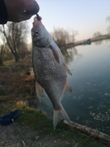 Opinii despre Rábasömjéni-tó Horgásztó în Sárvár - Étterem