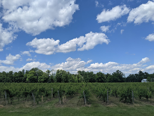 Winery «Hosmer Winery», reviews and photos, 7020 NY-89, Ovid, NY 14521, USA