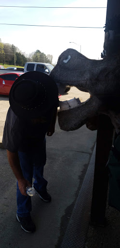 Farm Equipment Supplier «Columbia Farm Supply», reviews and photos, 170 Bear Creek Pike, Columbia, TN 38401, USA