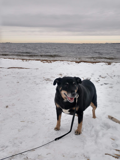 Park «Henry Hudson Trail / Popamora Point», reviews and photos, Shore Dr, Atlantic Highlands, NJ 07716, USA