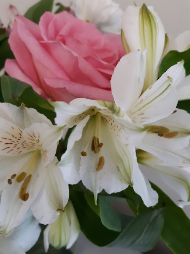 Florist «1-800-Flowers», reviews and photos, 2457 W North Ave, Melrose Park, IL 60160, USA