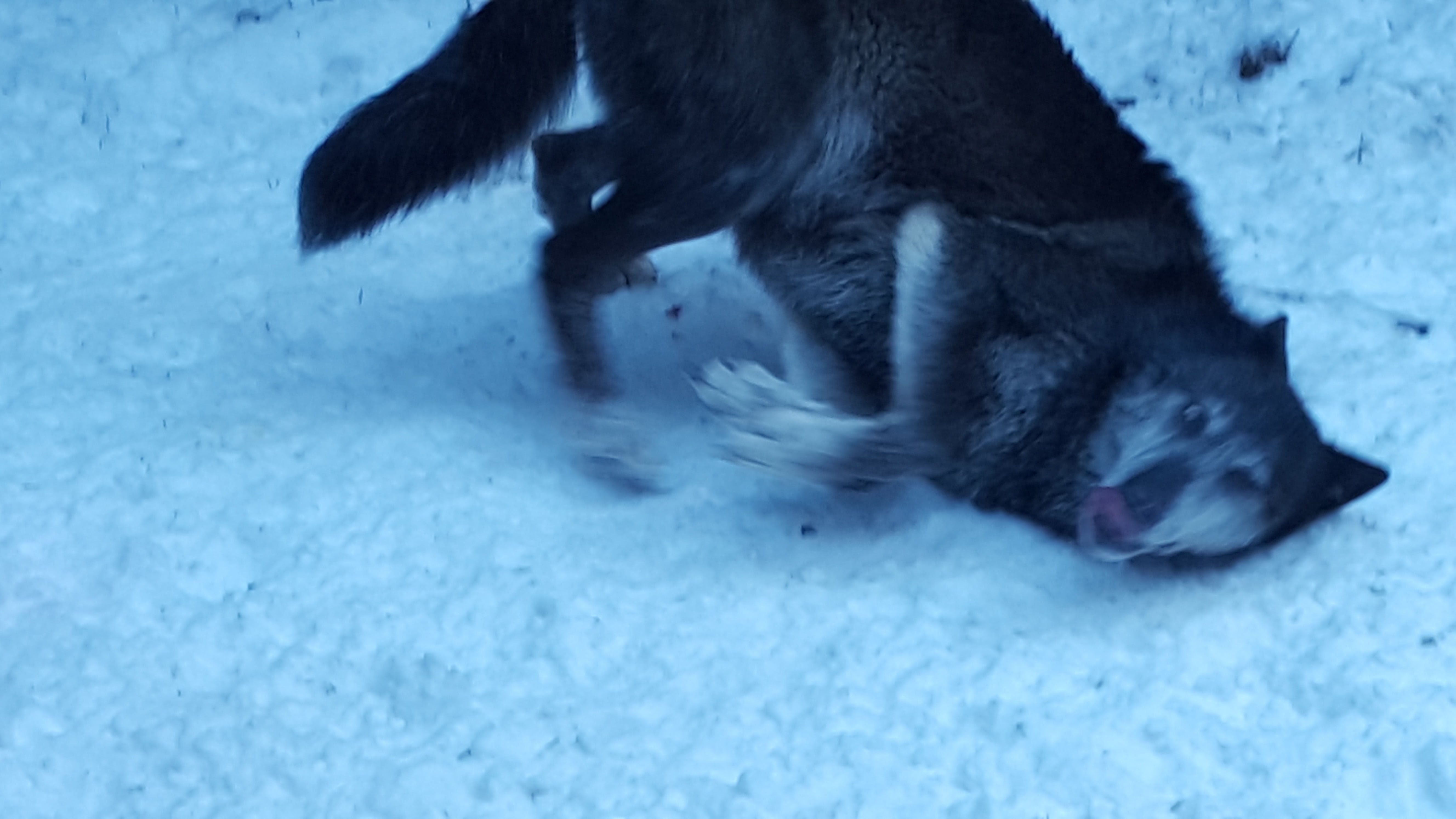 Photo n° 4 de l'avis de Pacôme.l fait le 16/01/2017 à 15:09