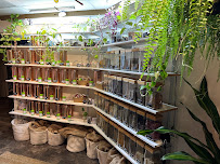 Sunlight Yoga + Apothecary - Photo 6 - Car repair in Davenport, IA, Davenport