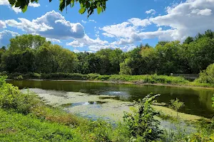 Winding Creek Conservation Area image