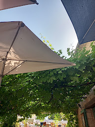 Photo n°53 de La petite treille à Issigeac ()