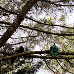 Photo n°1 de l'avis de barbara.a fait le 15/07/2020 à 19:59 sur le  Agriturismo Fattoria degli Animali La Collinara à Comacchio