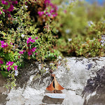 Photo n°4 de l'avis de Begoña.g fait le 17/08/2019 à 18:18 sur le  Retrò à Donnalucata