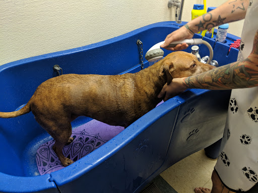 Pampered Pet Grooming