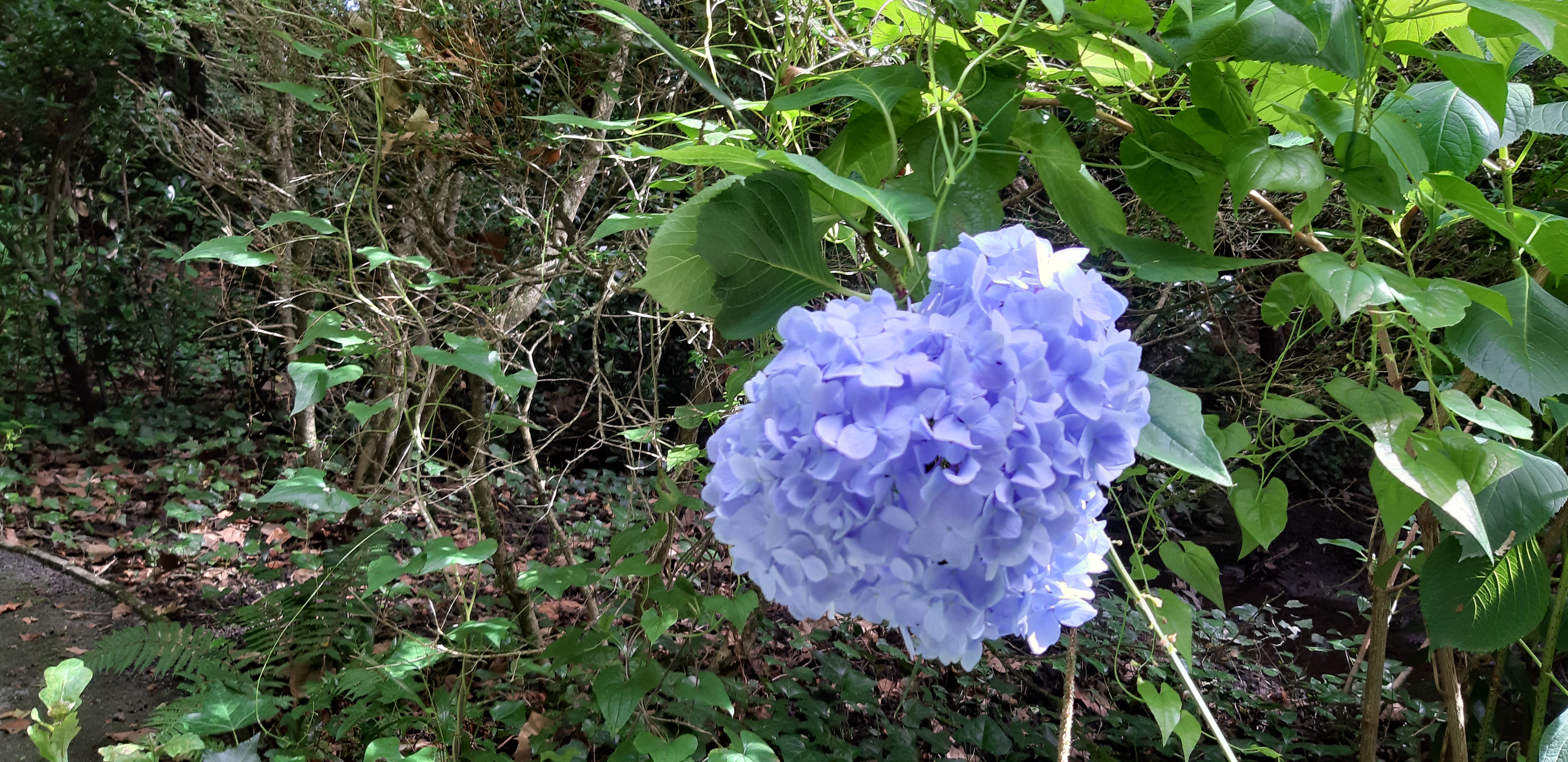 Photo n° 3 de l'avis de Eric.a fait le 22/06/2019 à 16:28