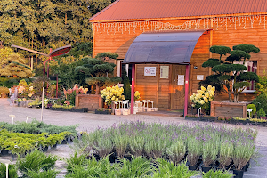 Садовий Центр Пісардi image