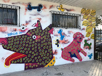 Pilar's Pet Resort - Photo 2 - Car repair in Tampa, FL, Tampa