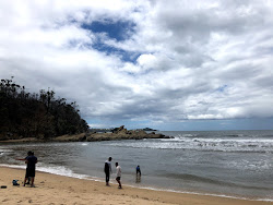 Zdjęcie Boydtown Beach dziki obszar