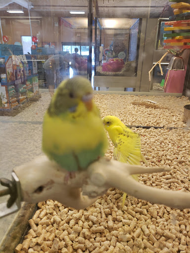 Pet Supply Store «PetSmart», reviews and photos, 3780 Riverchase Village #300, Hoover, AL 35244, USA