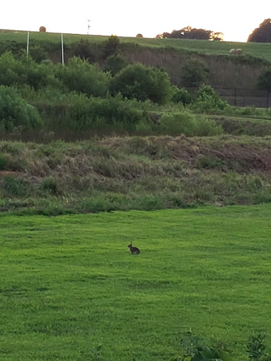 Community Center «North Hall Community Center & Park», reviews and photos, 4175 Nopone Rd, Gainesville, GA 30506, USA