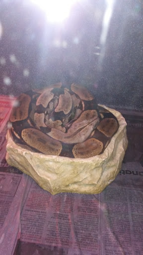 Pet Supply Store «Pet Bazaar», reviews and photos, 490 FL-436, Casselberry, FL 32707, USA