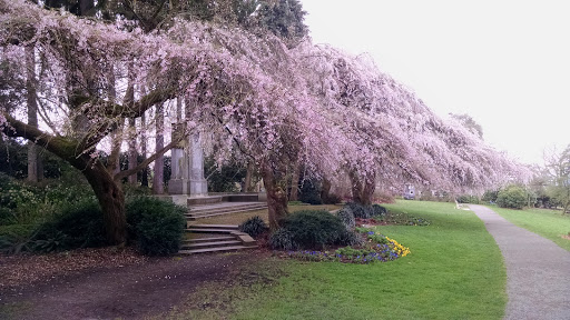 Park «Volunteer Park», reviews and photos, 1247 15th Ave E, Seattle, WA 98112, USA