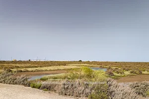 Centro de información del parque natural Los Toruños image