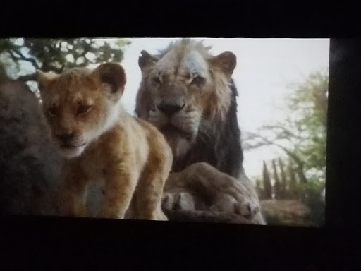 Drive-in Movie Theater «Stardust Drive In Theatre», reviews and photos, 310 Purple Tiger Dr, Watertown, TN 37184, USA