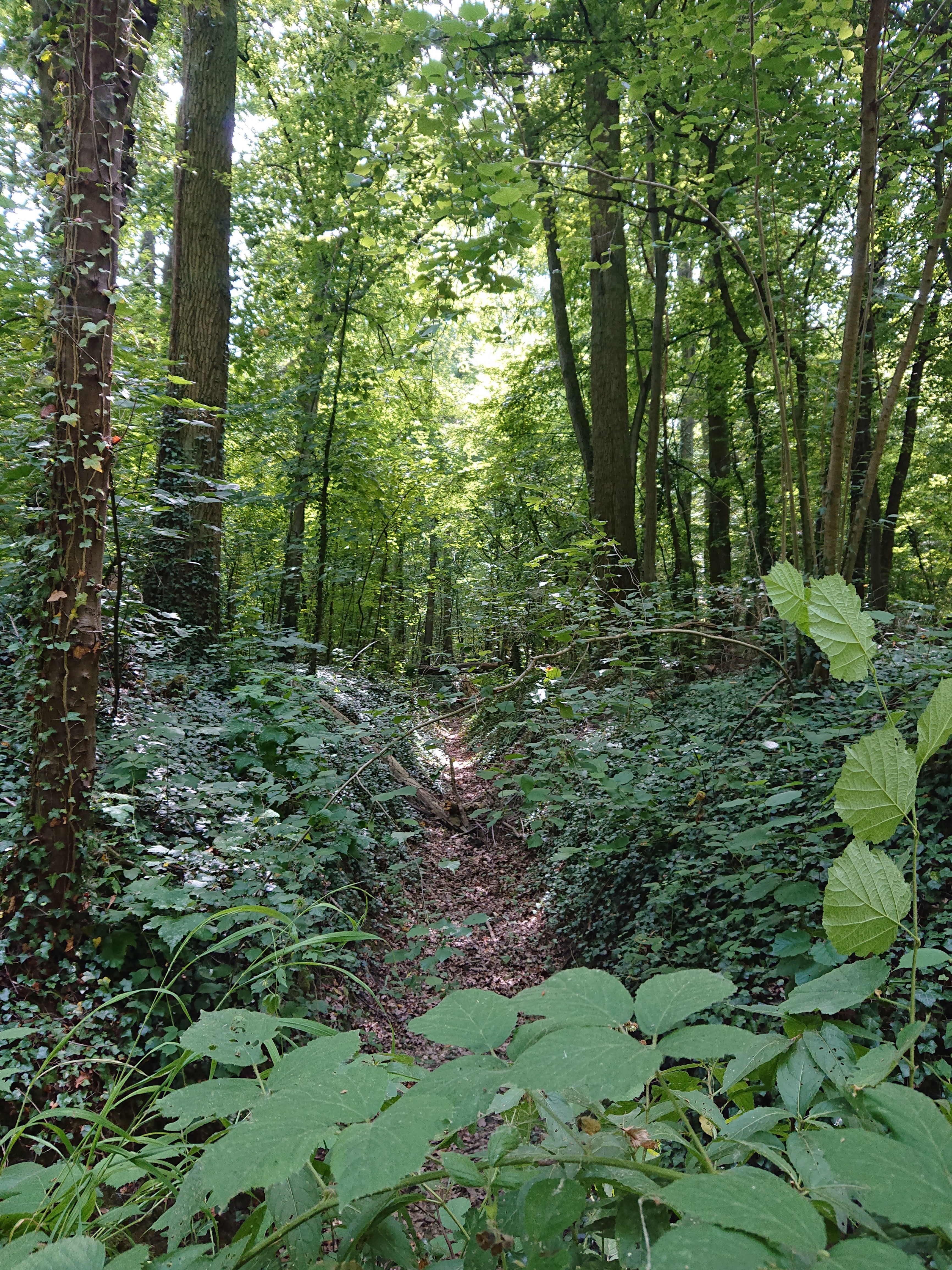 Photo n° 6 de l'avis de Arnaud.a fait le 20/07/2019 à 22:14