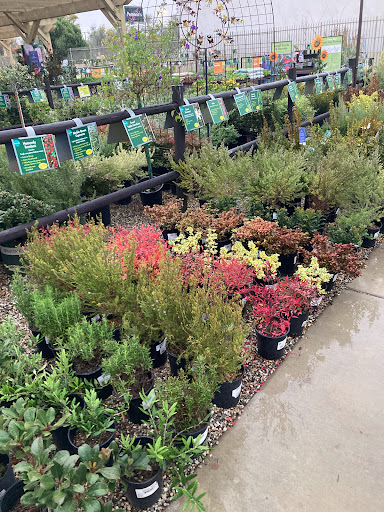 Armstrong Garden Centers - 6