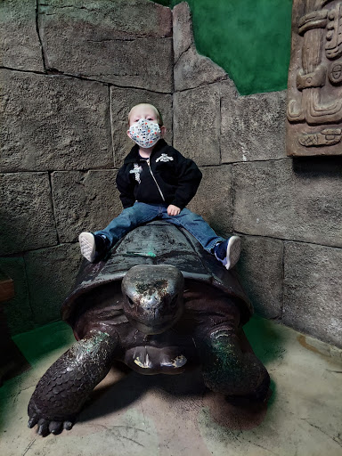 Aquarium «SeaQuest Interactive Aquarium», reviews and photos, 1201 N Hill Field Rd #1072, Layton, UT 84041, USA