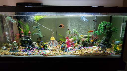 Pet Supply Store «Pet Supplies Plus», reviews and photos, 319 N Berkeley Blvd, Goldsboro, NC 27534, USA