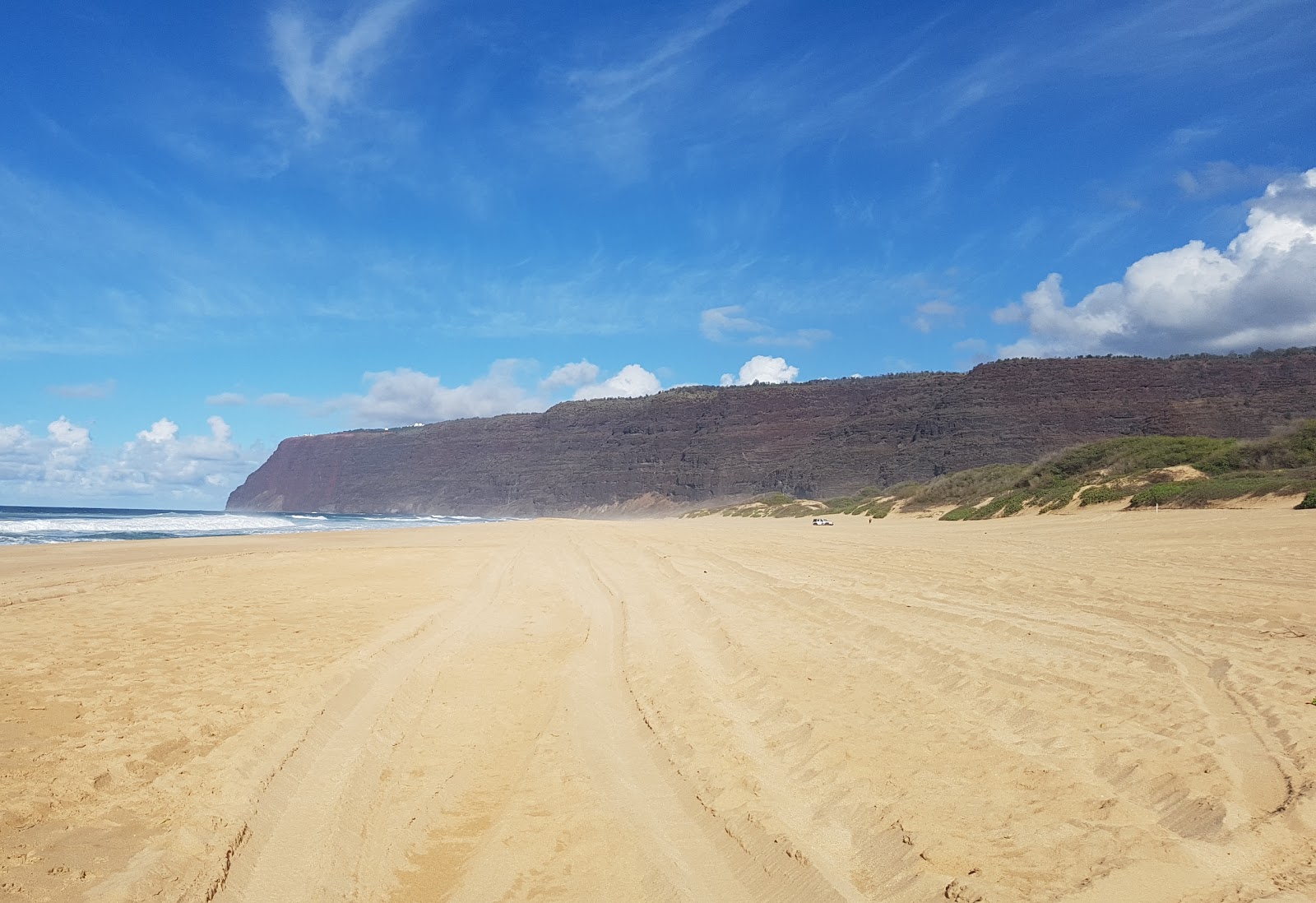 Foto af Polihale State Beach beliggende i naturområde