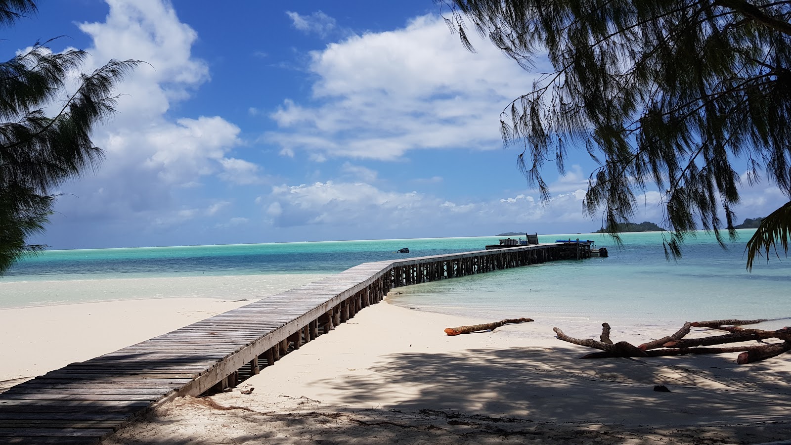 Foto av Carp Island Resort vildmarksområde