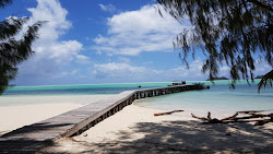 Carp Island Resort'in fotoğrafı vahşi alan