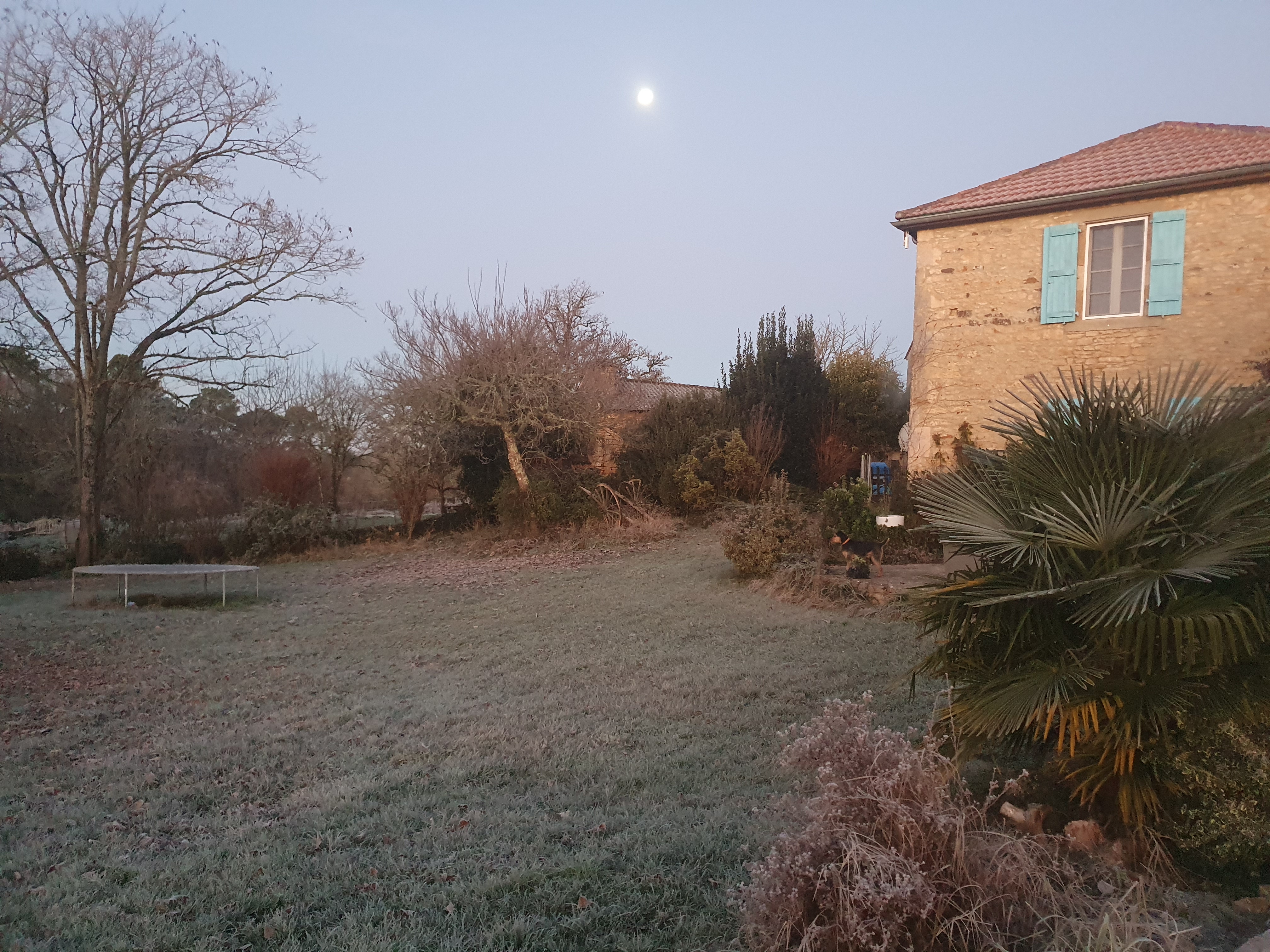Photo n° 2 de l'avis de colin.a fait le 14/01/2022 à 14:55