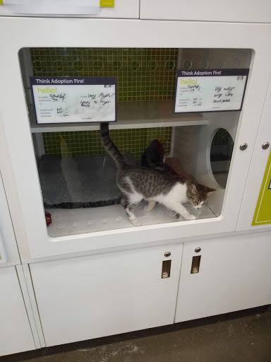 Pet Supply Store «PetSmart», reviews and photos, 5890 Trussville Crossings Pkwy, Birmingham, AL 35235, USA