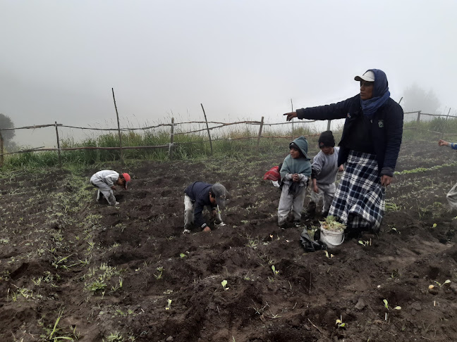 X87M+J8W, Guamote, Ecuador