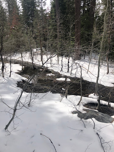 Tahoe Outdoor Adventures image