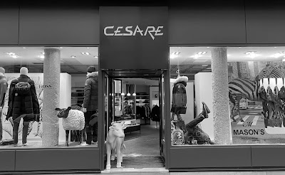 Cesare à Poitiers