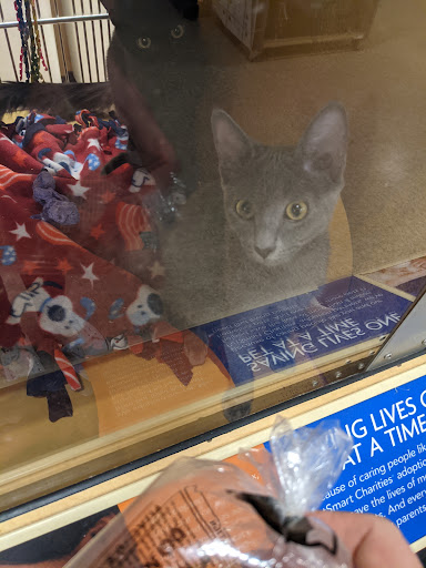 Pet Supply Store «PetSmart», reviews and photos, 6348 Foothill Blvd, Tujunga, CA 91042, USA