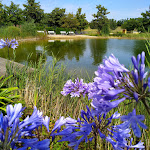 Photo n°2 de l'avis de Gudrun.a fait le 12/08/2021 à 11:48 sur le  Madl Christian Casa beach cafe à Südliches Anhalt