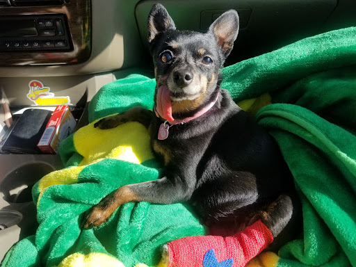 Salem Park Veterinary Clinic image