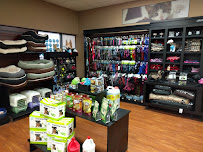 Pet Valu - Photo 3 - Car repair in Saint Clair Beach, ON, Canada, Detroit
