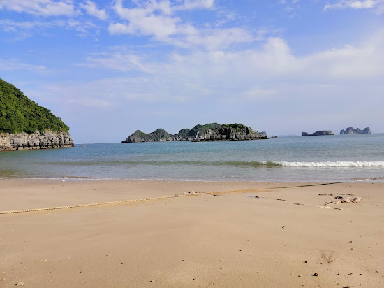 Cat Co 2 Beach