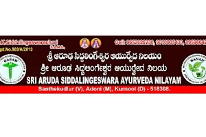 Sri Aruda Siddalingeswara Ayurveda Nilayam (SASAN) image