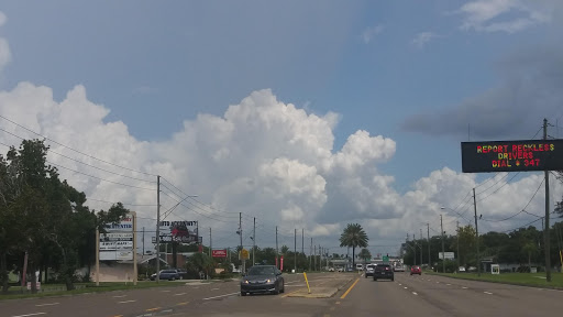 Park «Northeast Park and Paw Place», reviews and photos, 4630 E Bay Dr, Clearwater, FL 33764, USA