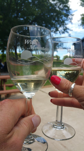 Winery «Wild Mountain Winery», reviews and photos, 16906 Wild Mountain Rd, Taylors Falls, MN 55084, USA