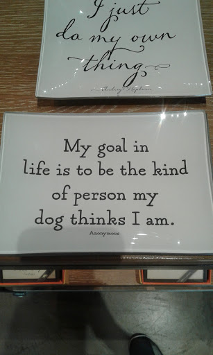 Gift Shop «Nuvo», reviews and photos, 3311 Oak Lawn Ave, Dallas, TX 75219, USA