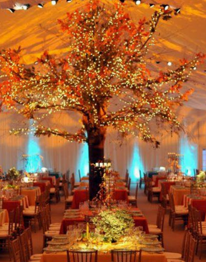 Gym «The Gym Mckinney», reviews and photos, 3180 Eldorado Pkwy #300, McKinney, TX 75070, USA