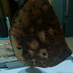 Photo n°1 de l'avis de Vita.o fait le 17/04/2024 à 18:29 sur le  L'Angolo del Negresco à Soliera