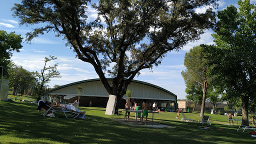 Club de Campo Villa de Madrid, piscina olímpica