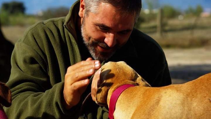 Residencia y Escuela Canina Pico Chaparral